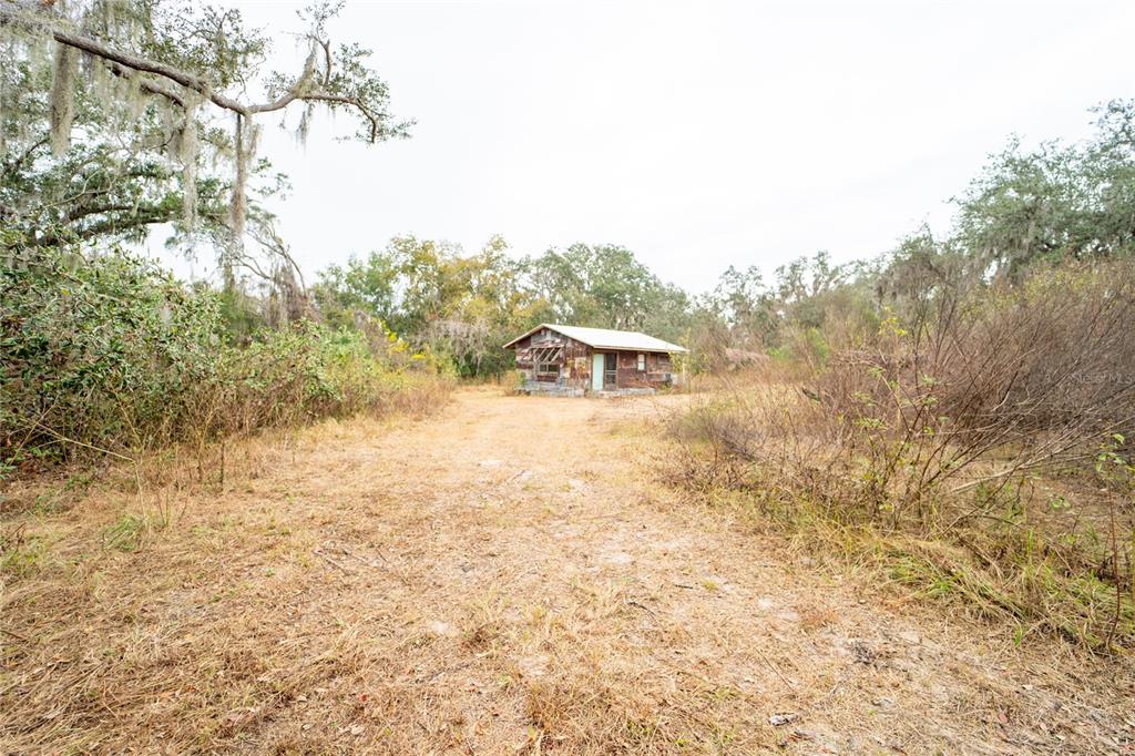 7813 Valrie Lane Riverview, FL 33569 - Photo 25 of 48 a view of a yard with a tree