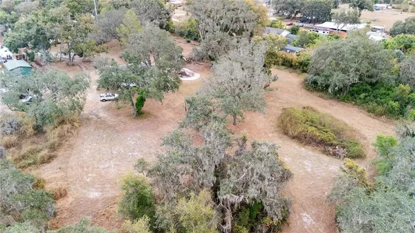 an aerial view of forest