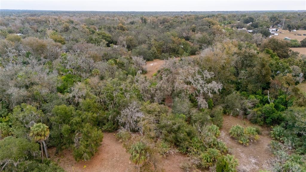 7813 Valrie Lane Riverview, FL 33569 - Photo 40 of 48 an aerial view of forest