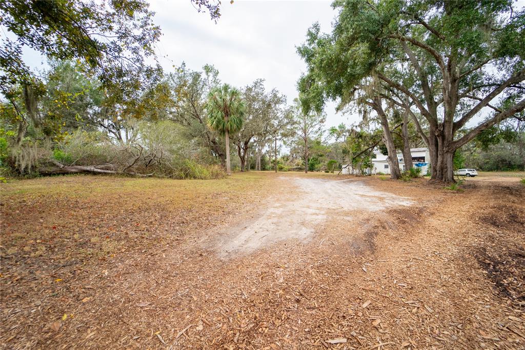 7813 Valrie Lane Riverview, FL 33569 - Photo 10 of 48 a view of a yard with a tree