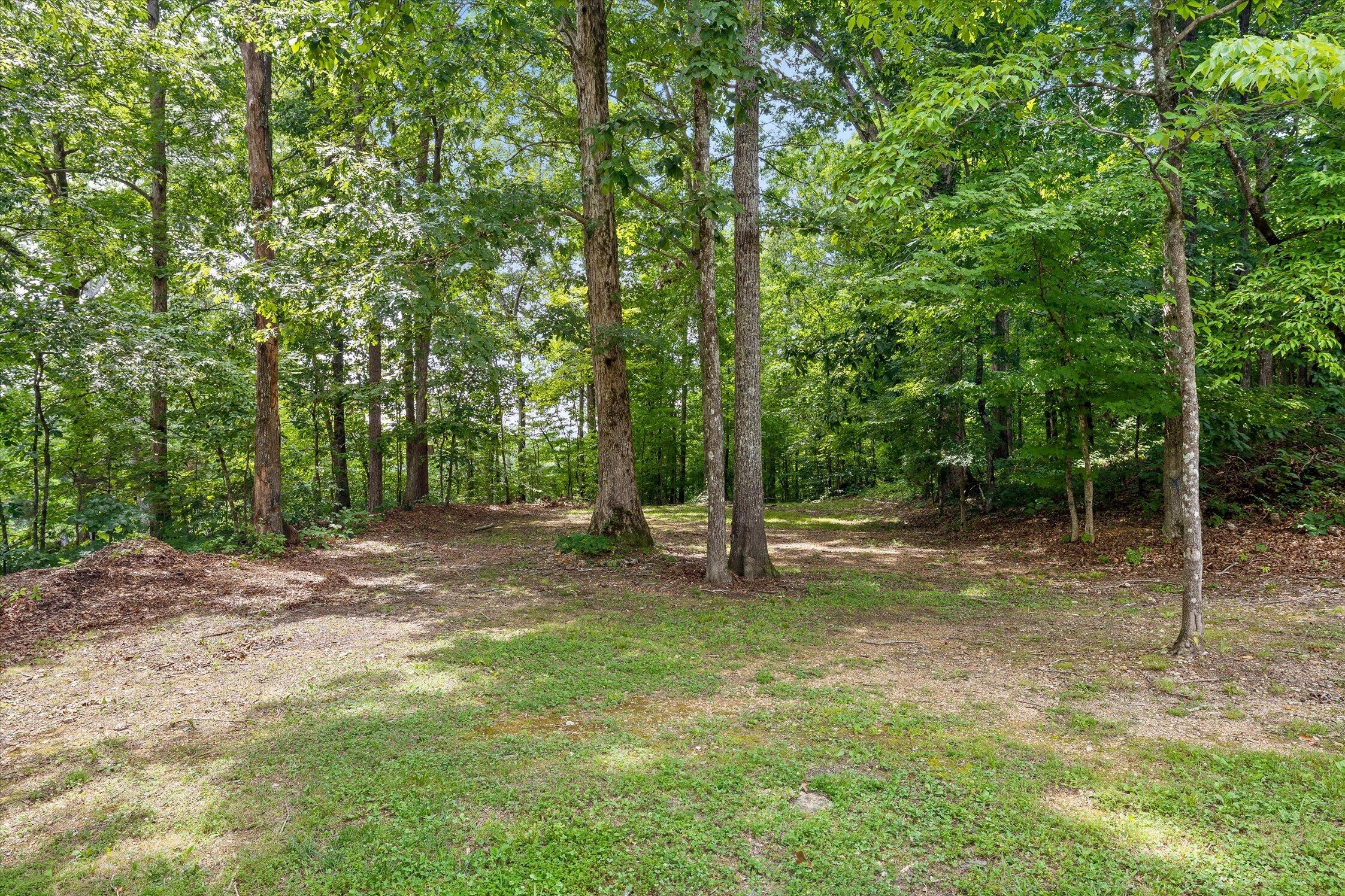 5539 Hunter Road Ooltewah, TN 37363 - Photo 94 of 98 090-Hunter-90