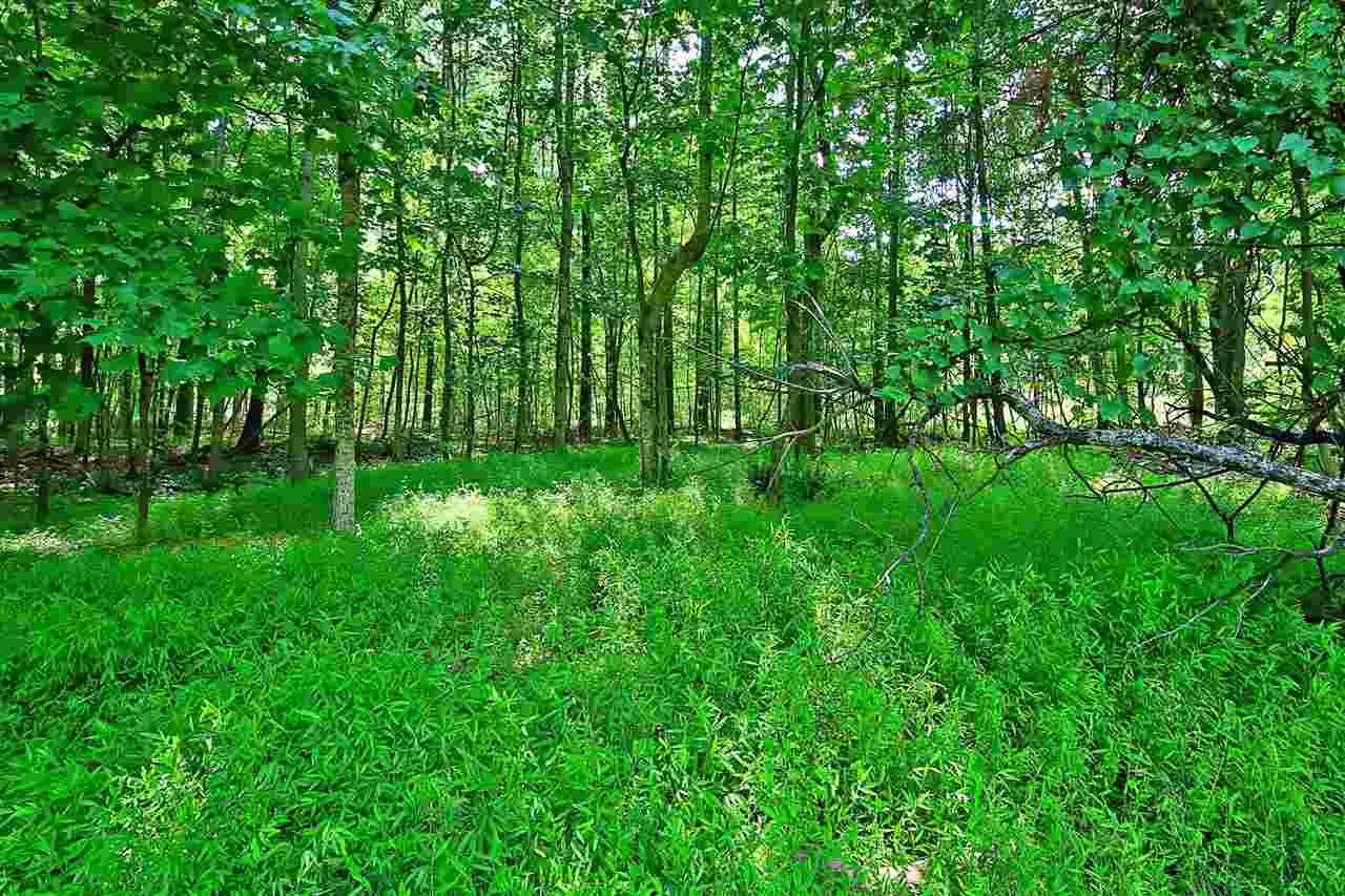 12319 North Roxboro Road Rougemont, NC 27572 - Photo 25 of 26 Photo 25