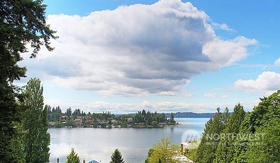 a view of lake and city