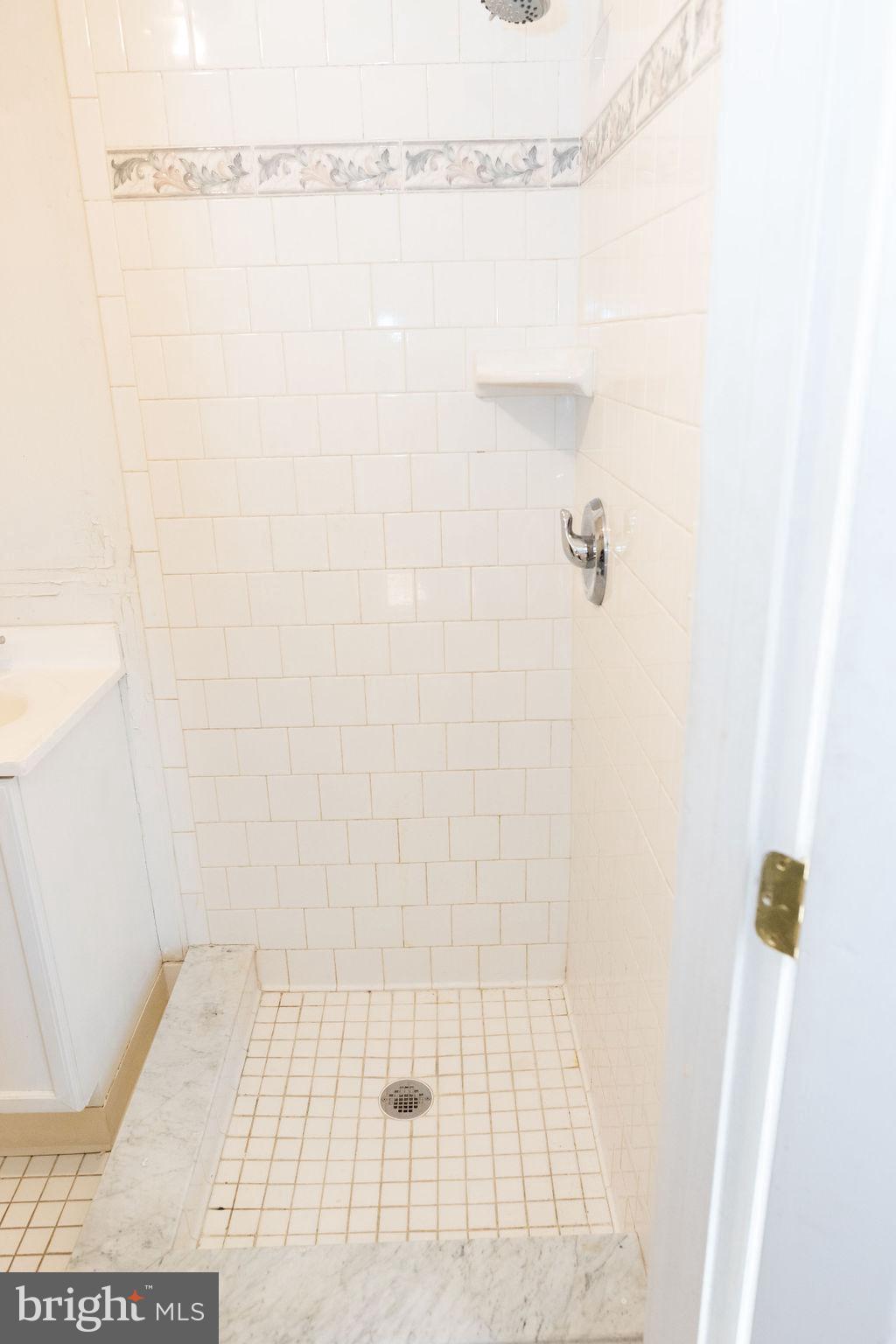 10510 Fountain School Road Union Bridge, MD 21791 - Photo 12 of 47 Master shower