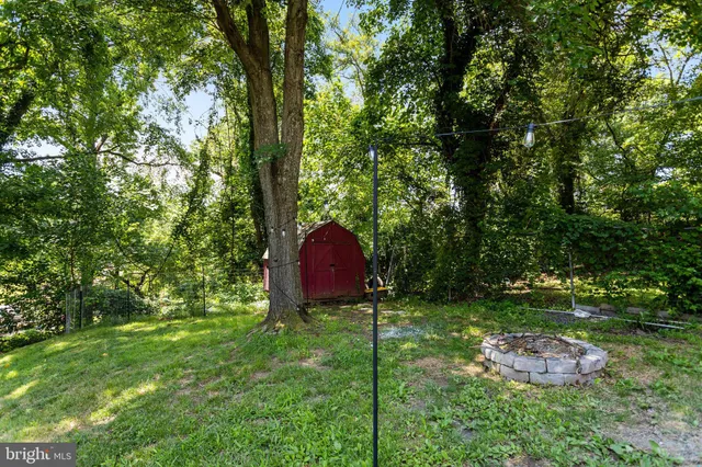 a view of a large yard with large trees and plants