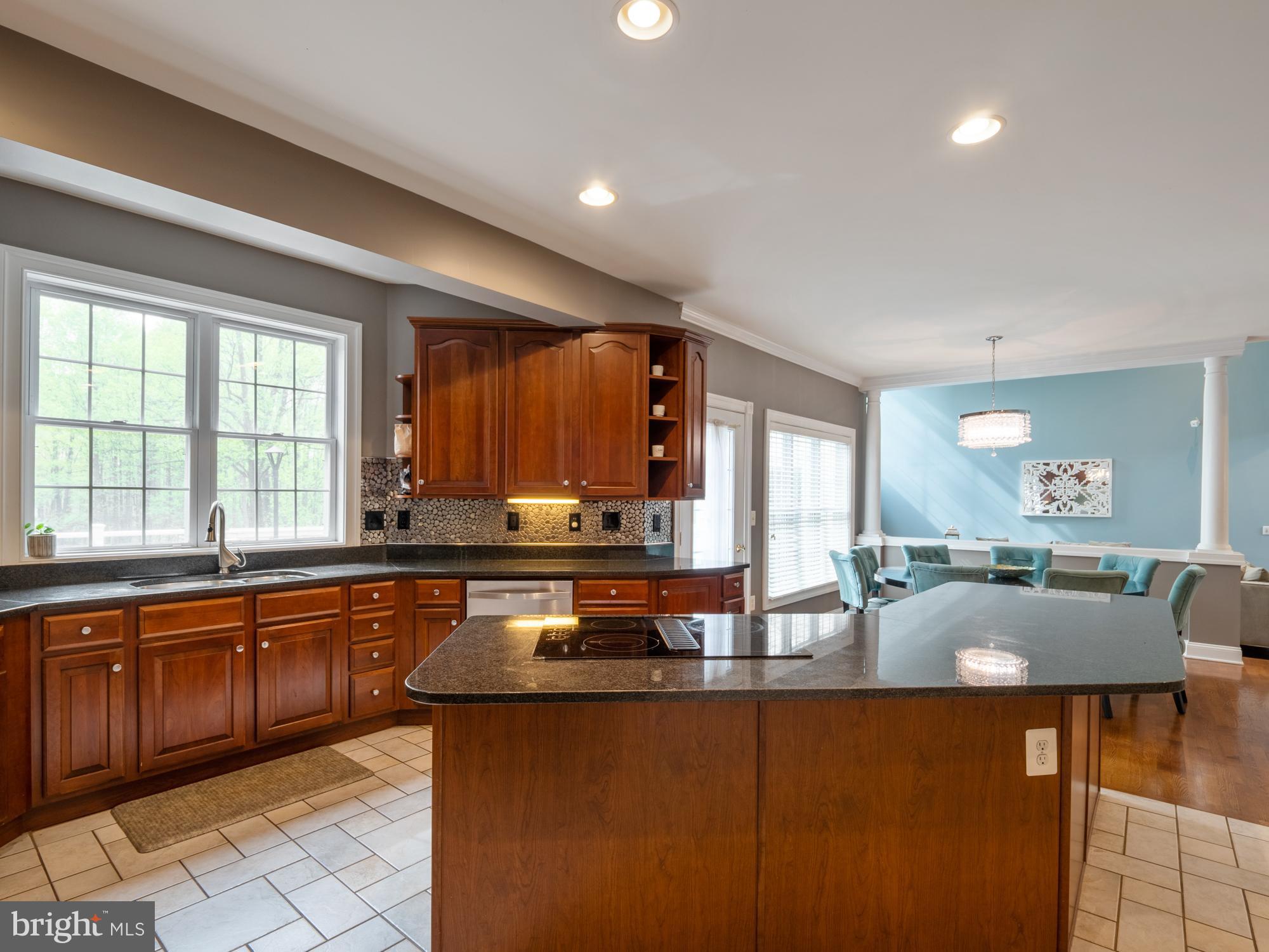 848 Seneca Road Great Falls, VA 22066 - Photo 9 of 52 Gallery Image 9
