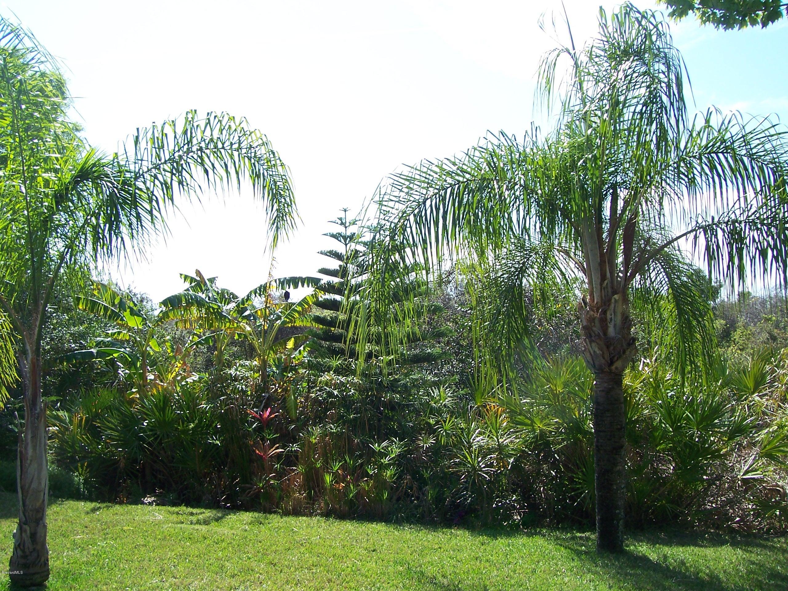 1622 Long Pine Road Melbourne, FL 32940 - Photo 17 of 17 100_7812.JPG
