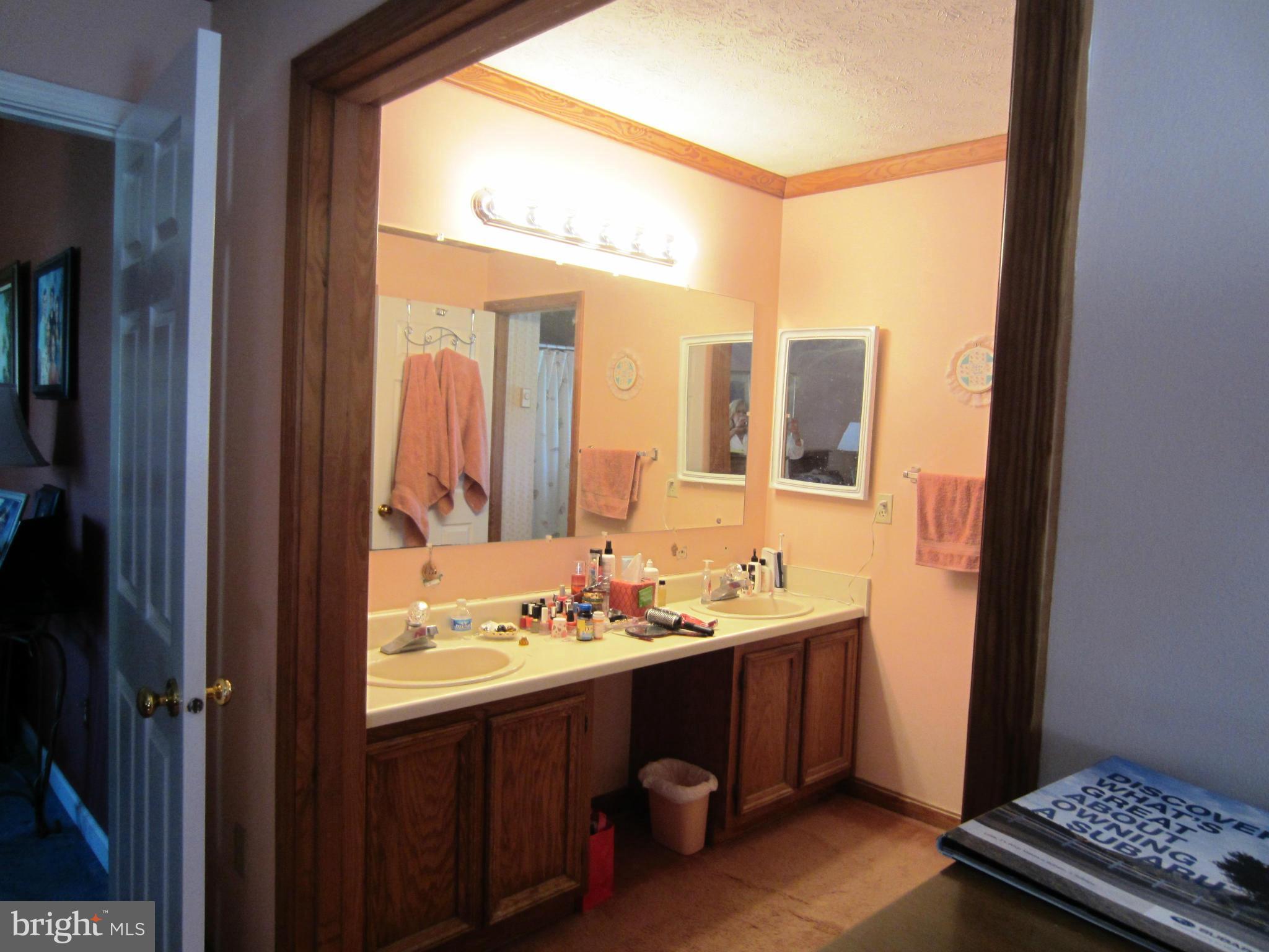 39159 Rodeffer Road Lovettsville, VA 20180 - Photo 14 of 30 Master Bath