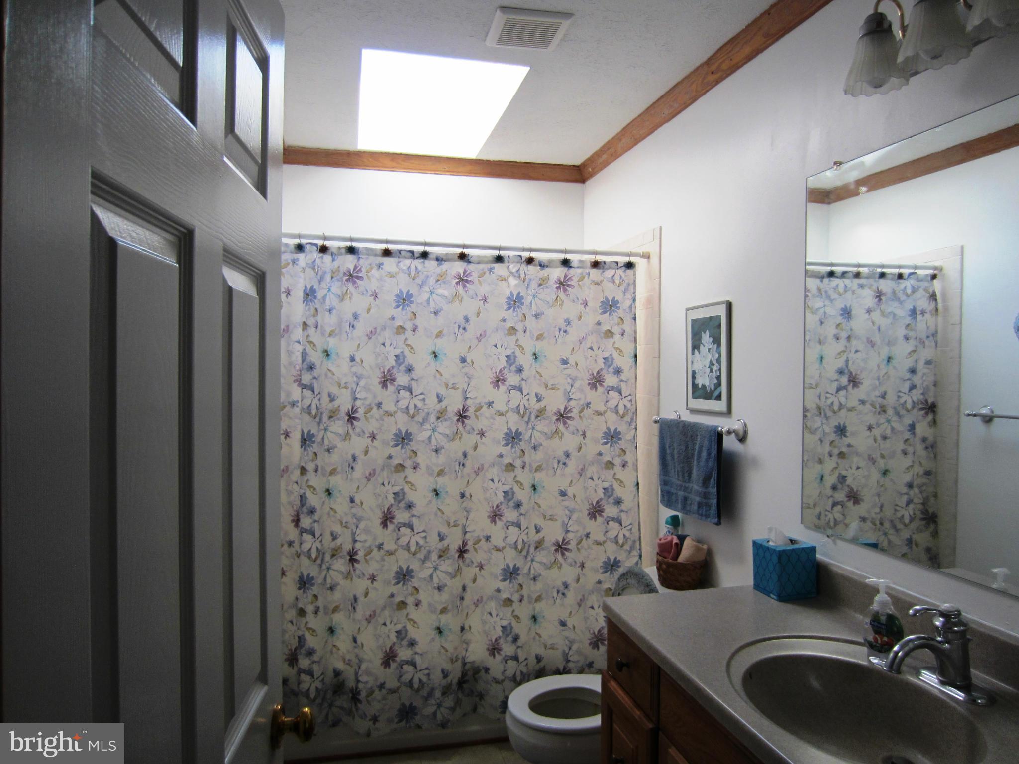 39159 Rodeffer Road Lovettsville, VA 20180 - Photo 21 of 30 Main Hall Bath