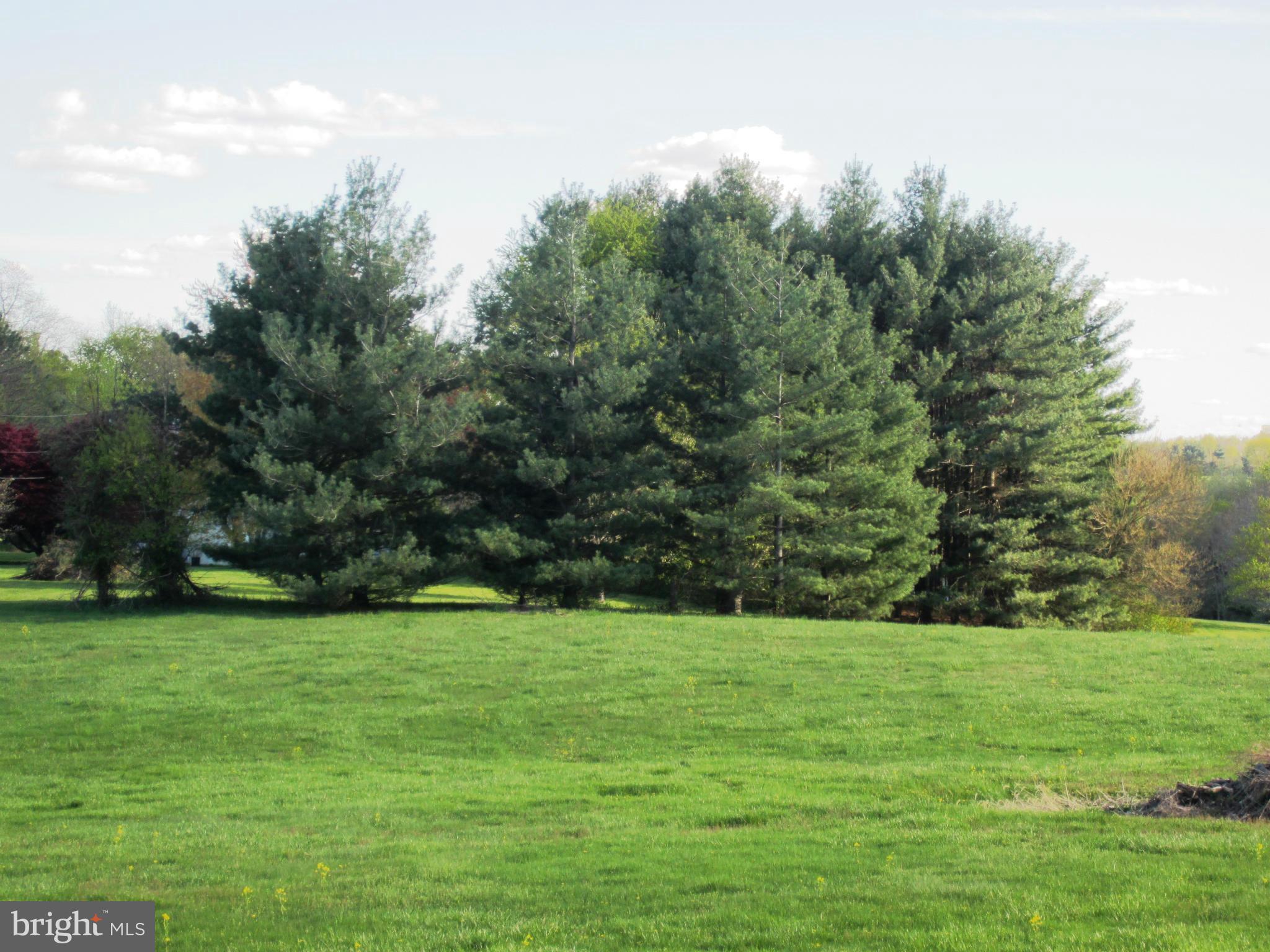 39159 Rodeffer Road Lovettsville, VA 20180 - Photo 29 of 30 View of Yard