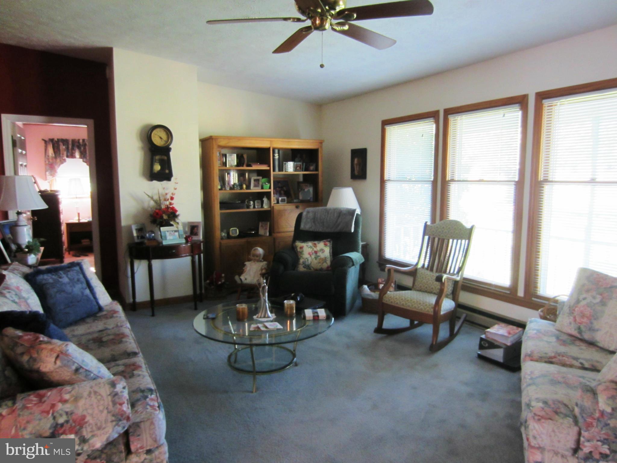39159 Rodeffer Road Lovettsville, VA 20180 - Photo 7 of 30 Large Windows in Living Room