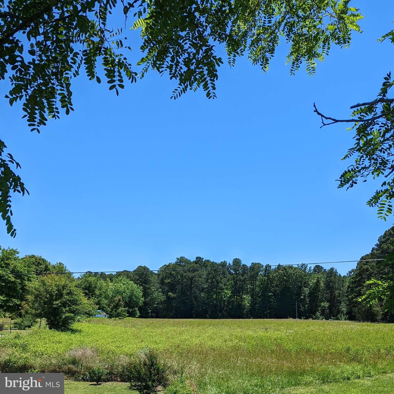 50459 Fresh Pond Neck Road Ridge, MD 20680 - Photo 3 of 3