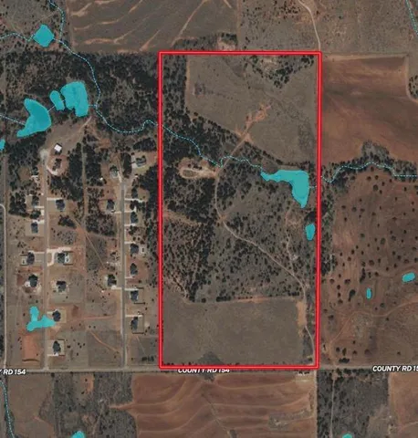 a view of a lush green forest with a lake