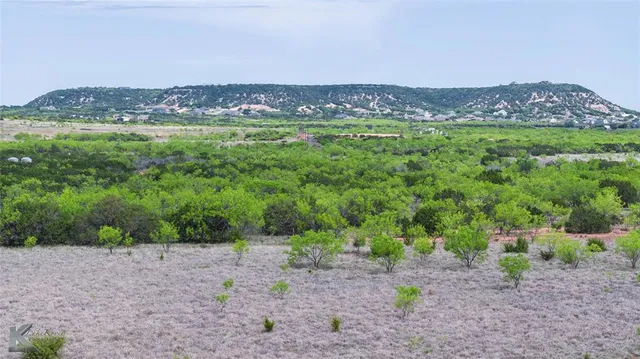 a view of a lush green hillside and a mountain