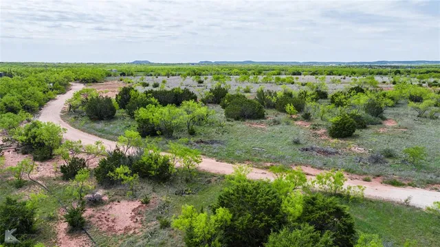 a view of a garden with an outdoor space