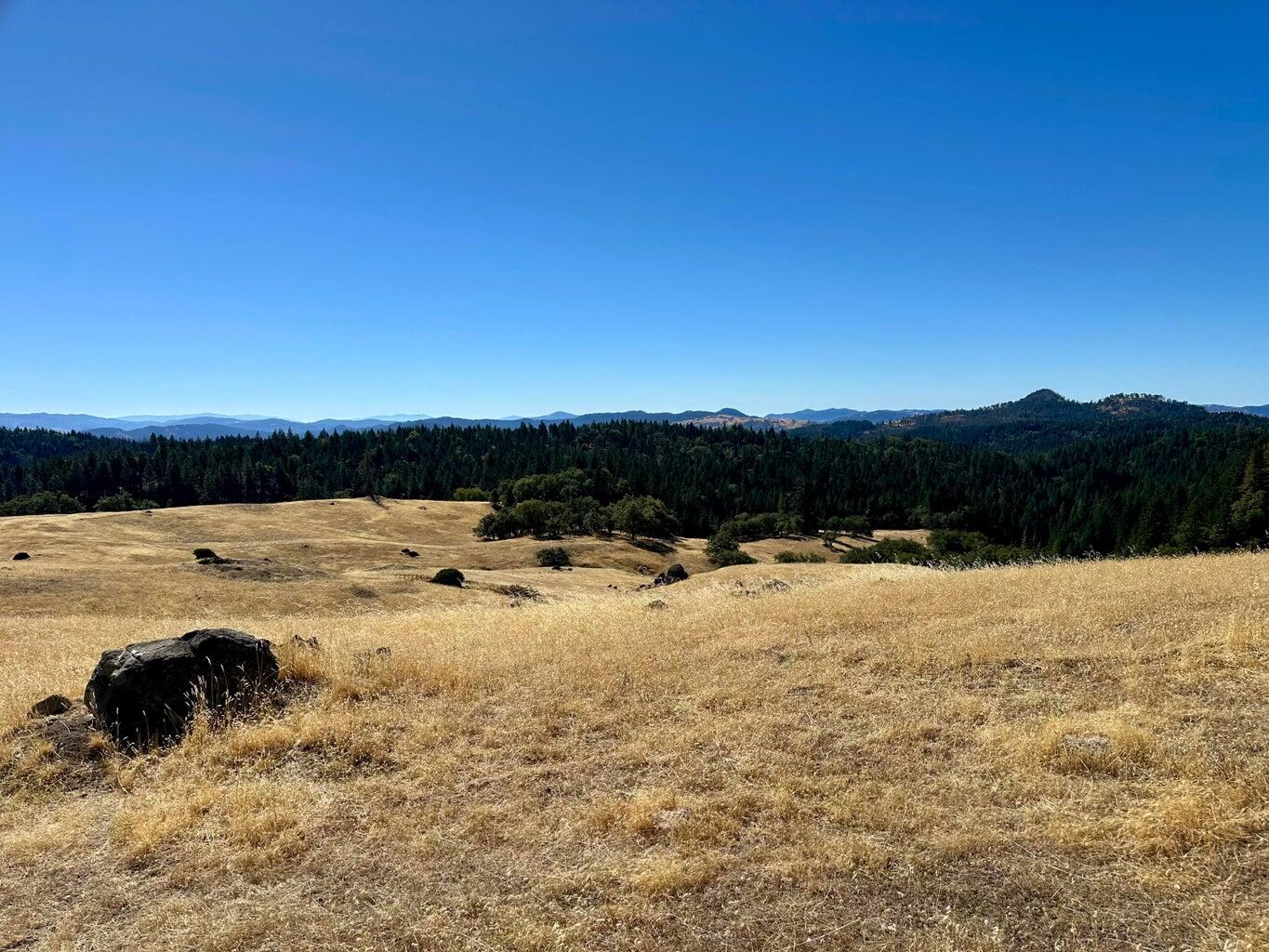 751 Lassic's Lookout Road Zenia, CA 95595 - Photo 6 of 29