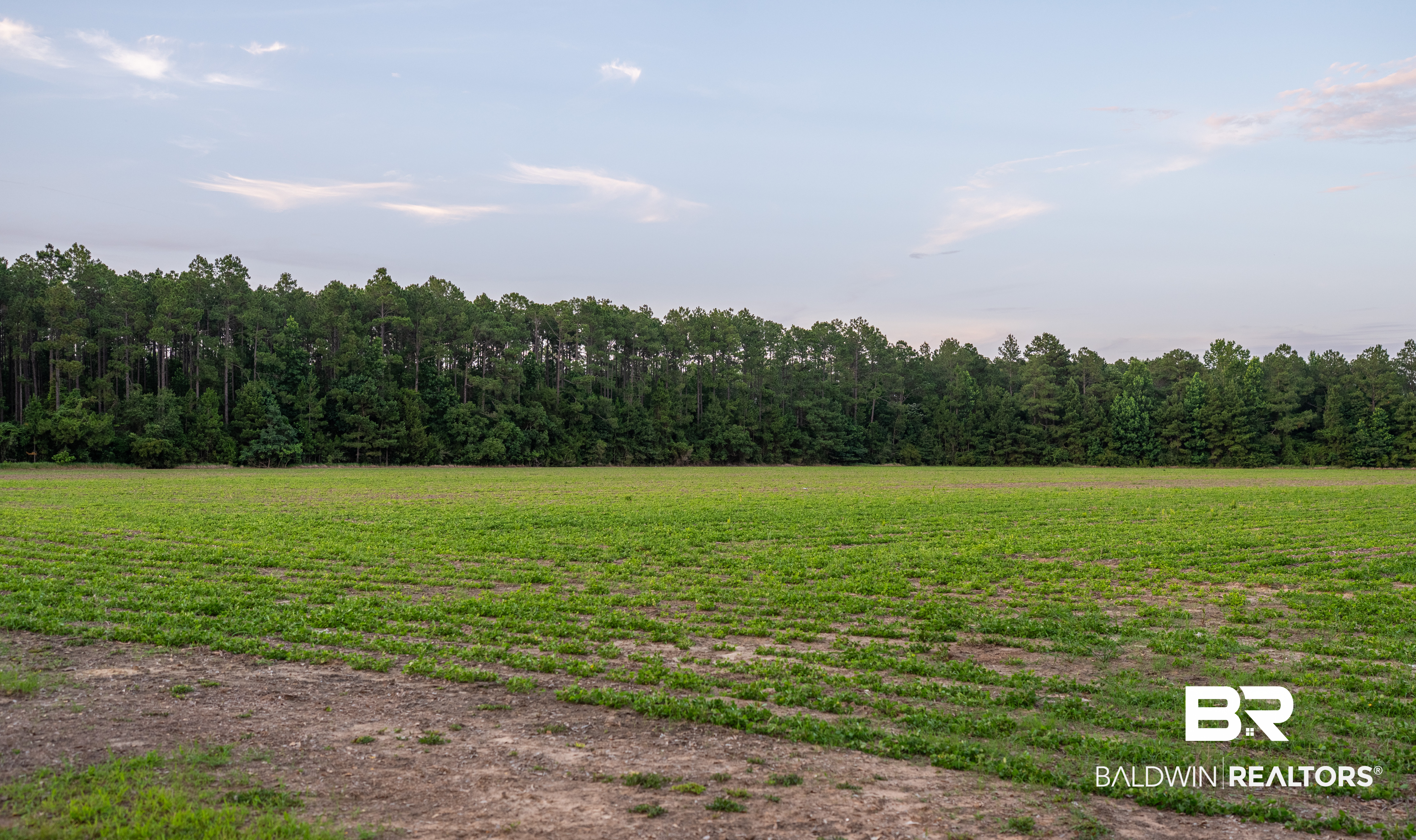 0 Bromley Road Stapleton, AL 36578 - Photo 22 of 48 Gallery Image 22