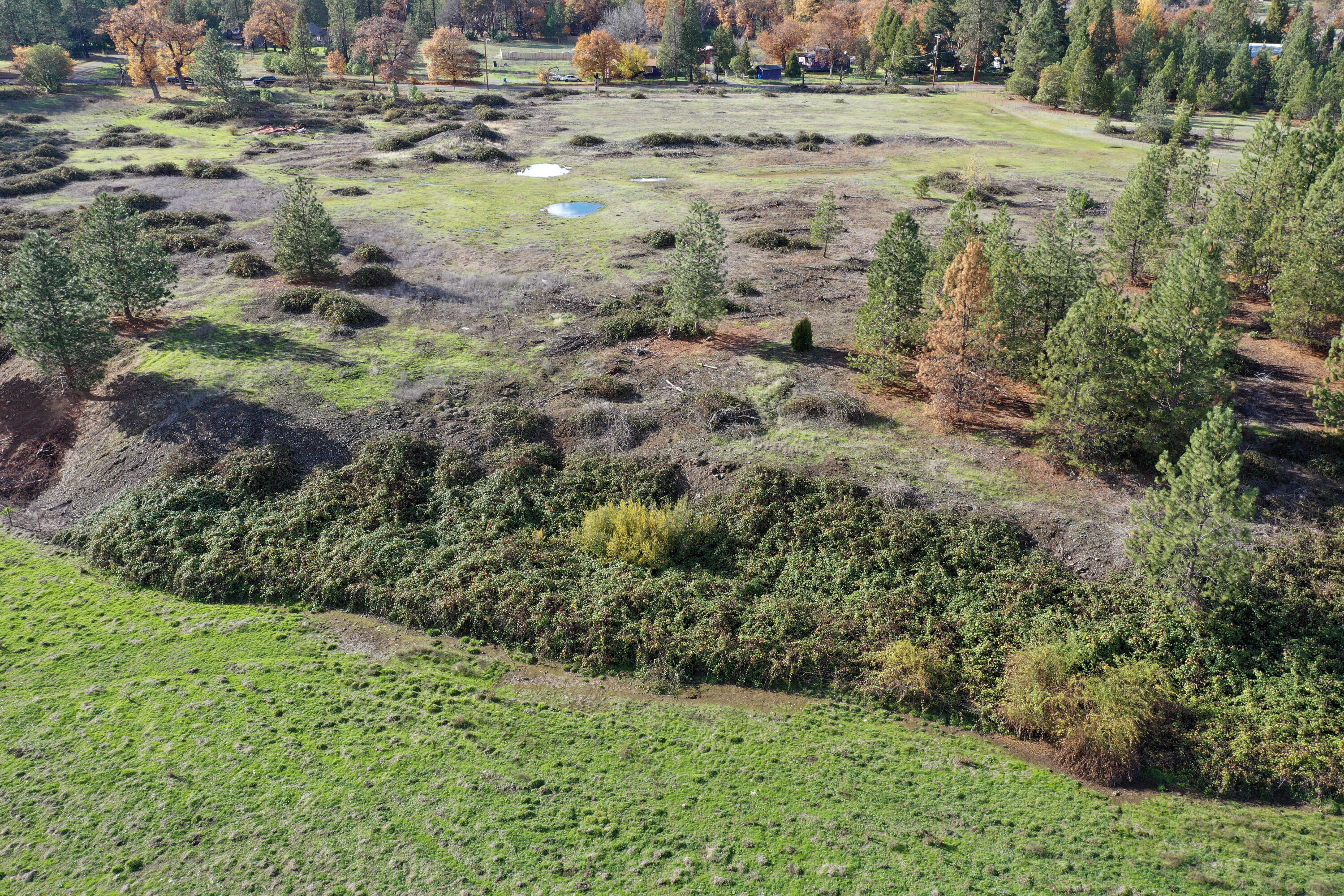 500 Powell Creek Road Williams, OR 97544 - Photo 21 of 28 20-DJI_0036