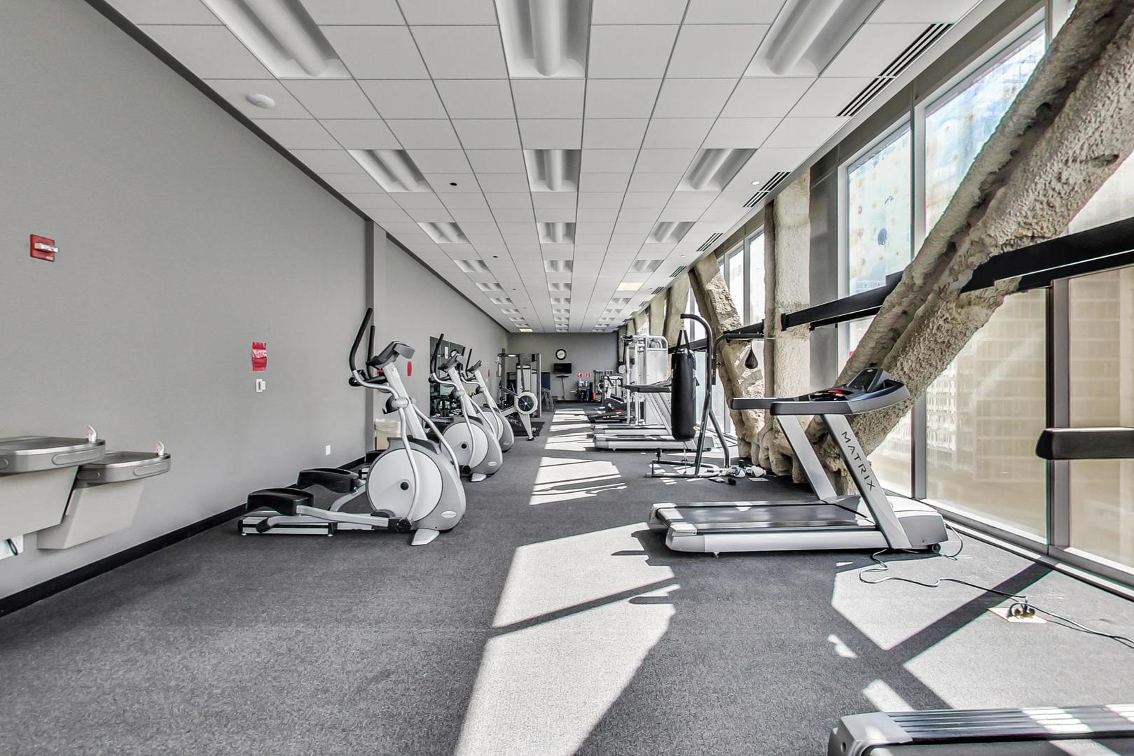 8 East Randolph Street, Unit 3007 Chicago, IL 60601 - Photo 14 of 15 a view of gym