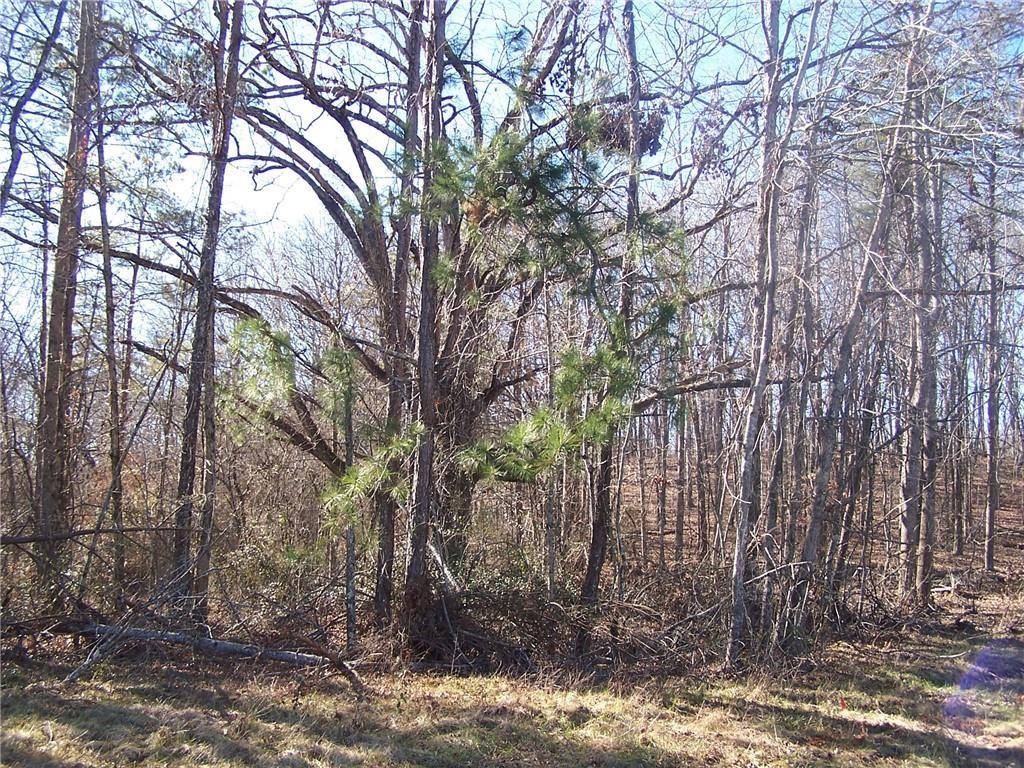 6 Nix Bridge Road Dawsonville, GA 30534 - Photo 1 of 1 Gallery Image 1