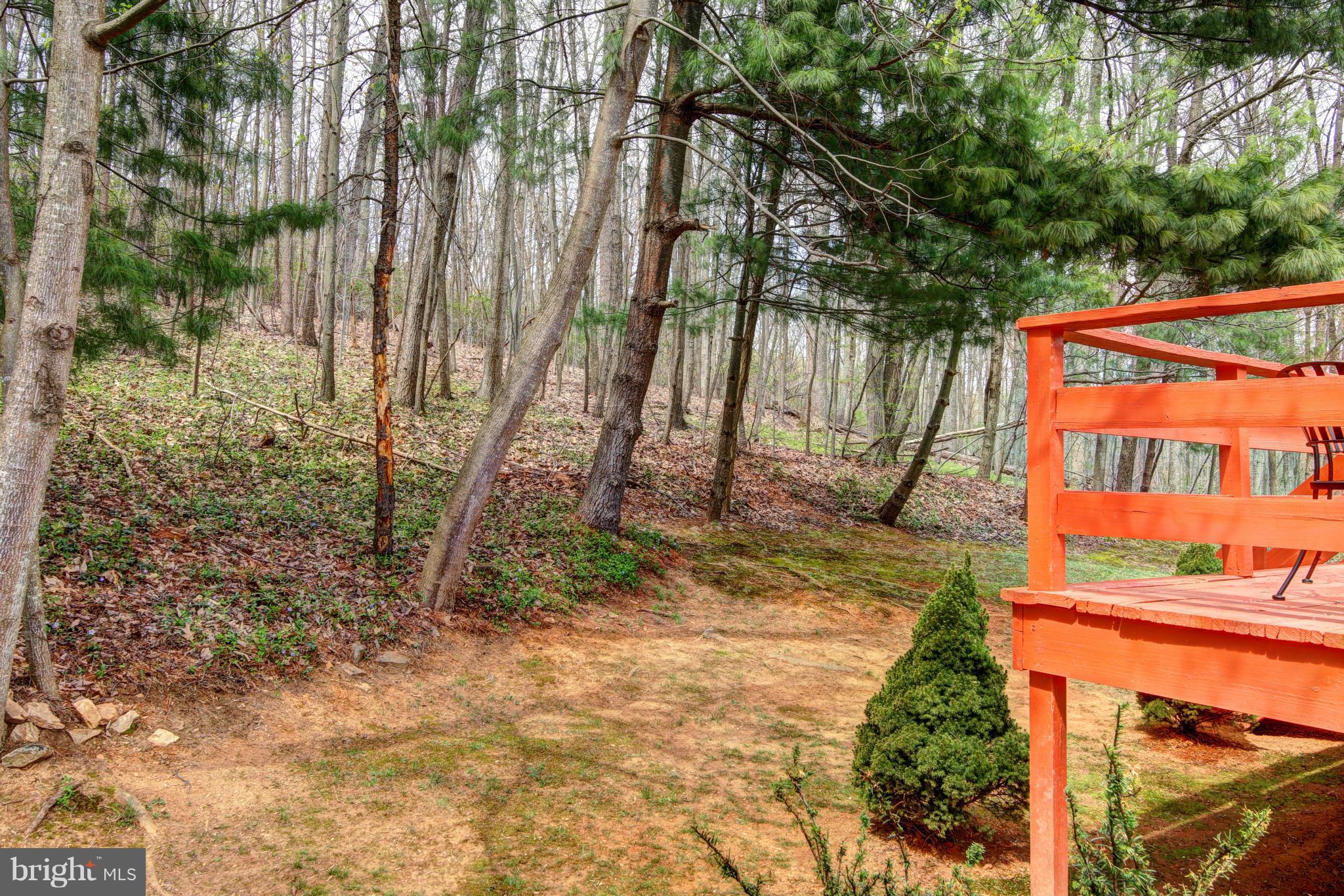6198 Beverleys Mill Road Broad Run, VA 20137 - Photo 23 of 25 Exterior (General)