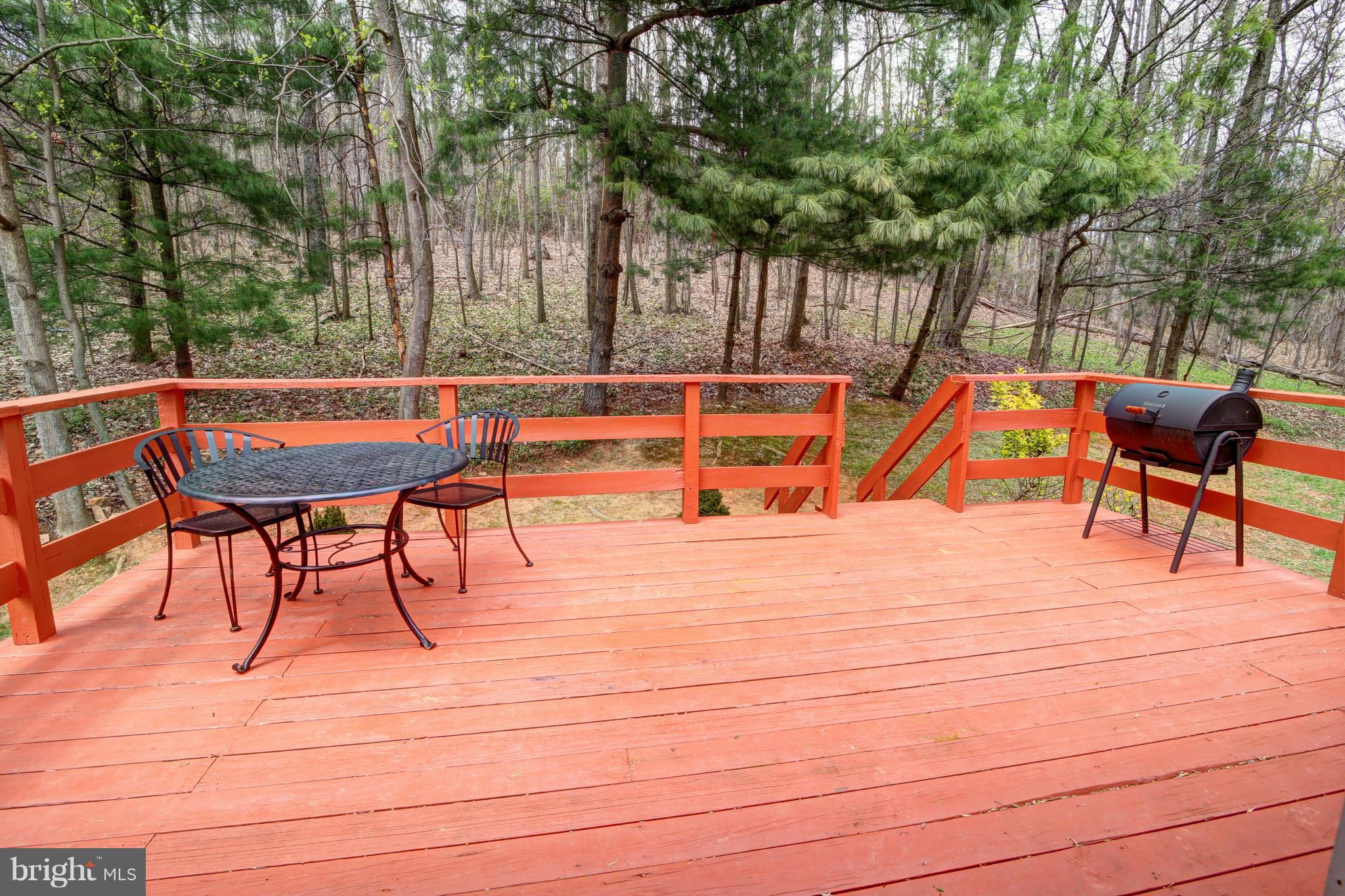 6198 Beverleys Mill Road Broad Run, VA 20137 - Photo 24 of 25 Exterior (Rear)