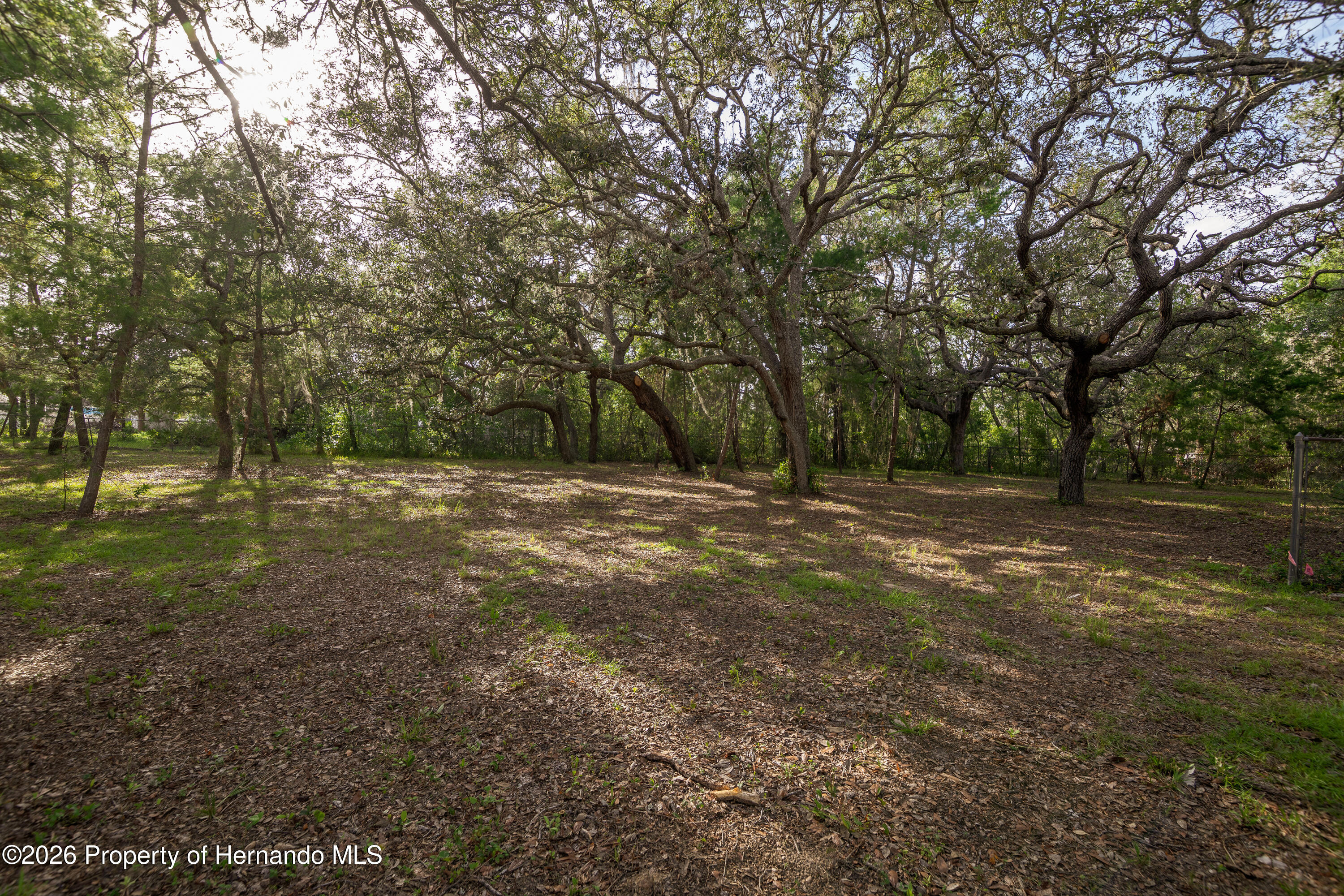 3325 Keye Drive Spring Hill, FL 34606 - Photo 6 of 29