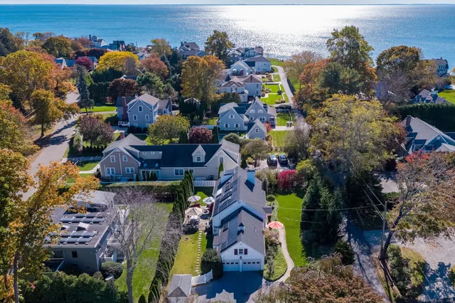 a view of a yard with plants and large trees