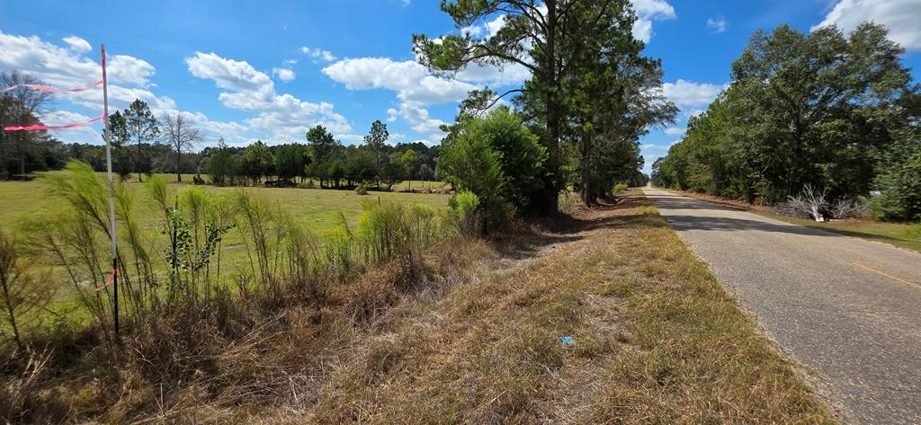 5.8-acres Nobles Road Cottonwood, AL 36320 - Photo 26 of 29
