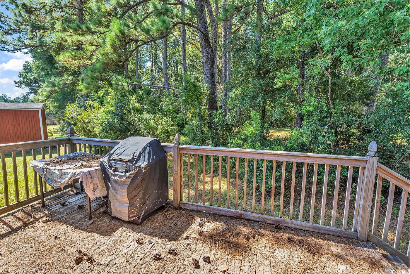 663 Player Street Georgetown, SC 29440 - Photo 27 of 32