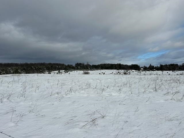 0 West 16 Road Mesick, MI 49668 - Photo 3 of 7