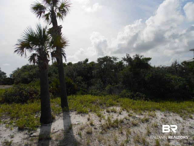 53 Kiva Way Gulf Shores, AL 36542 - Photo 1 of 1