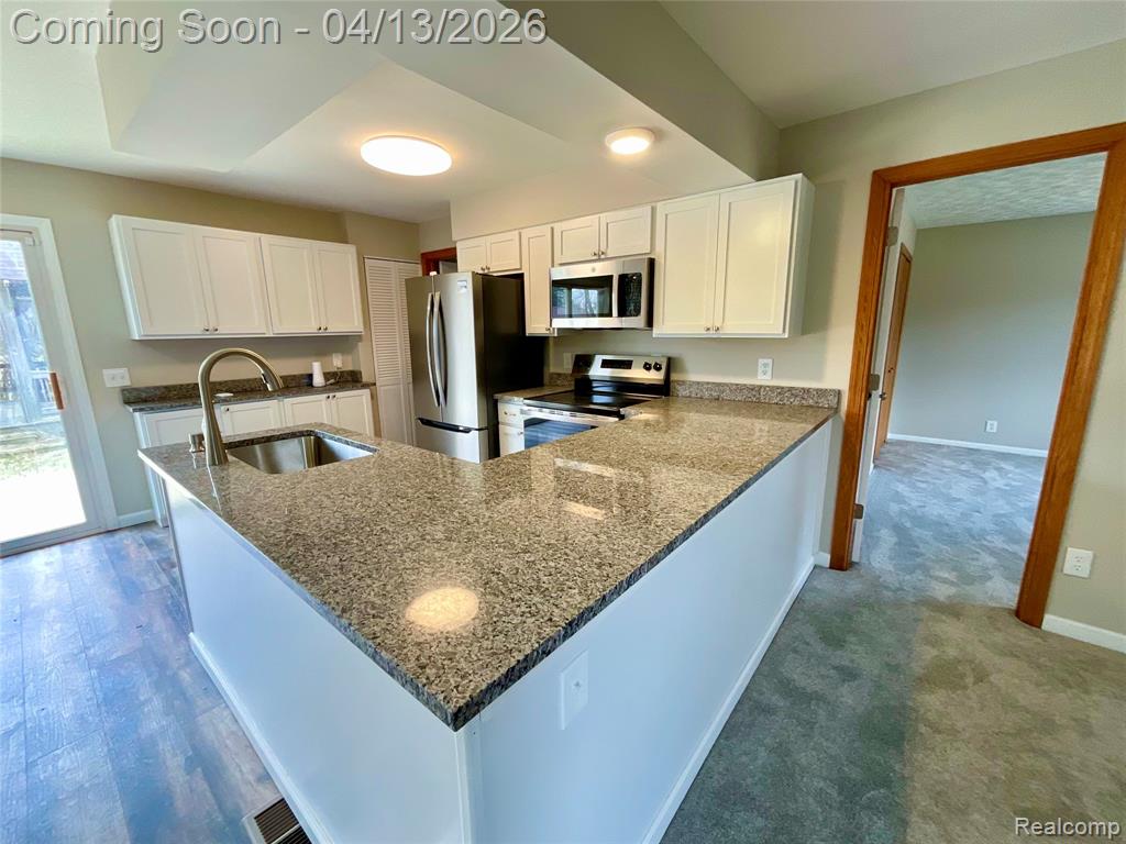 5464 Hollow Corners Road Dryden, MI 48428 - Photo 5 of 39