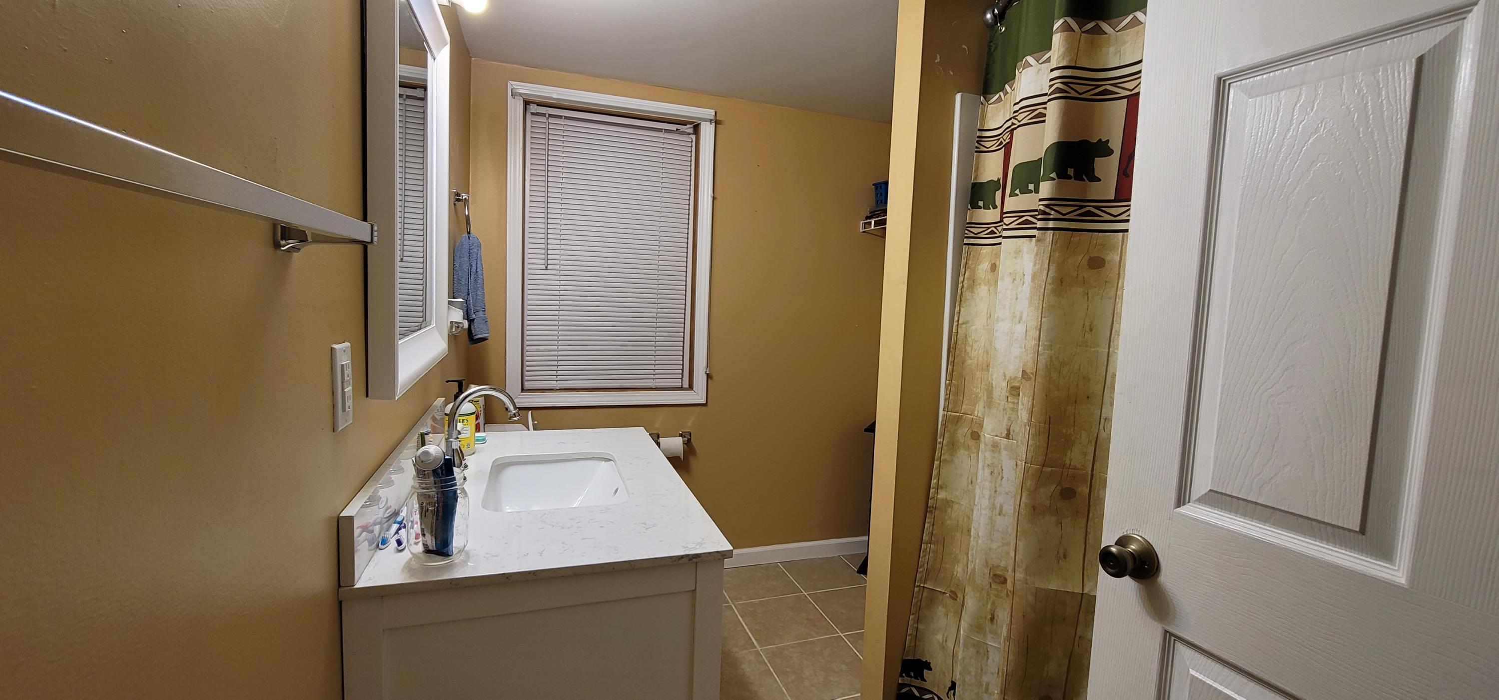 4241 Old Forge Road Rocky Mount, VA 24151 - Photo 8 of 16 a bathroom with a sink and a mirror