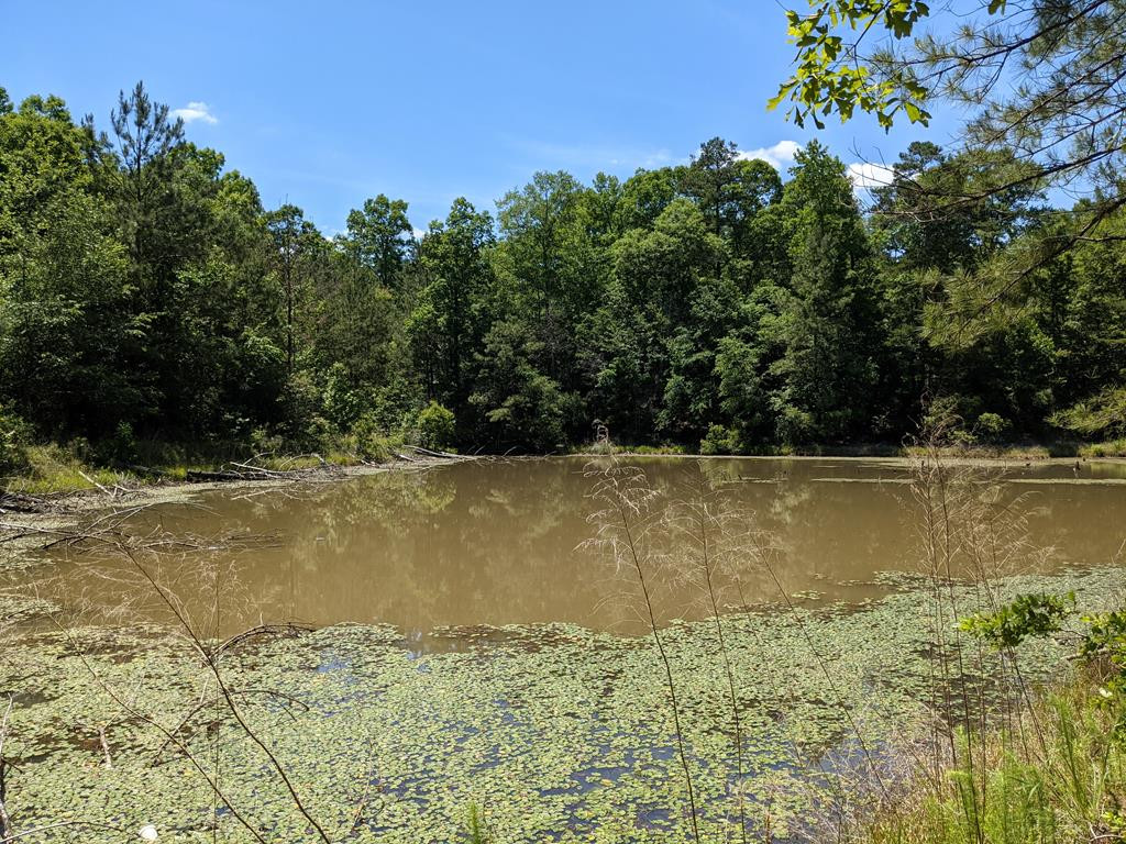 0 New Hope Church Road Foxworth, MS 39483 - Photo 1 of 26 Main View