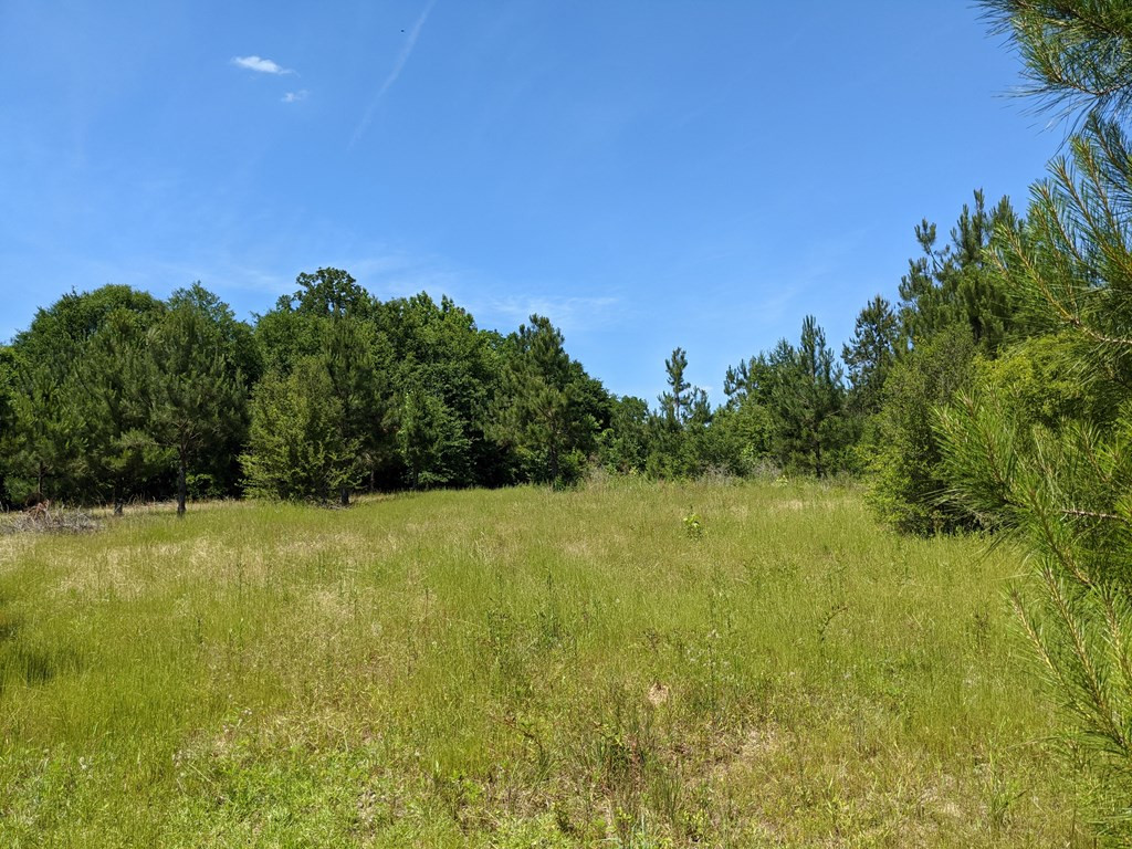 0 New Hope Church Road Foxworth, MS 39483 - Photo 11 of 26 Photo 11