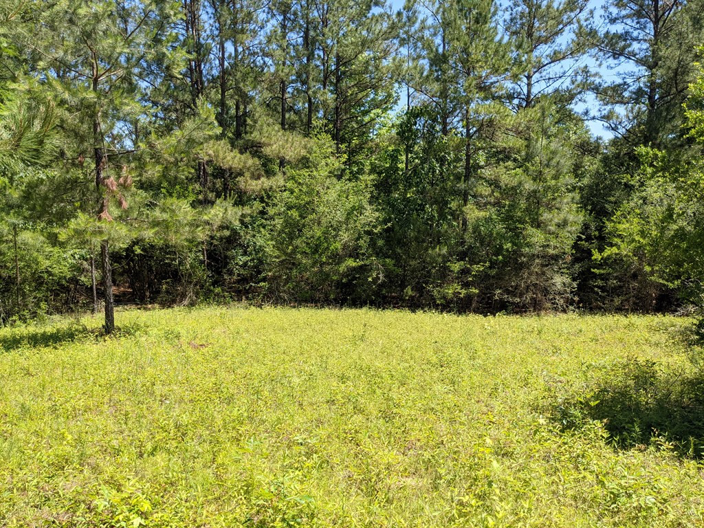 0 New Hope Church Road Foxworth, MS 39483 - Photo 7 of 26 Photo 7