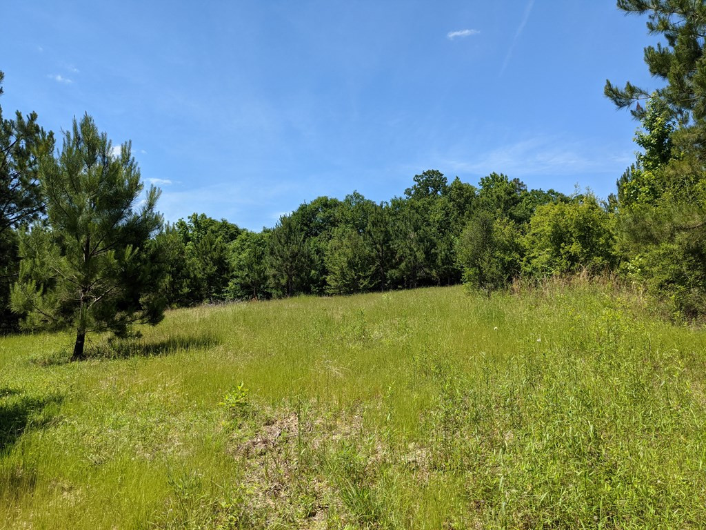 0 New Hope Church Road Foxworth, MS 39483 - Photo 10 of 26 Photo 10