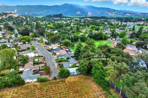 a view of a lush green field with lots of bushes