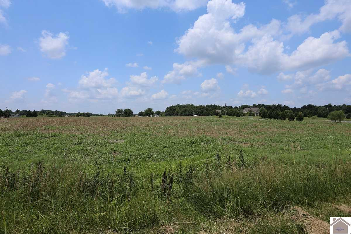 37-38 Wrather Road Almo, KY 42020 - Photo 1 of 1 Photo 1