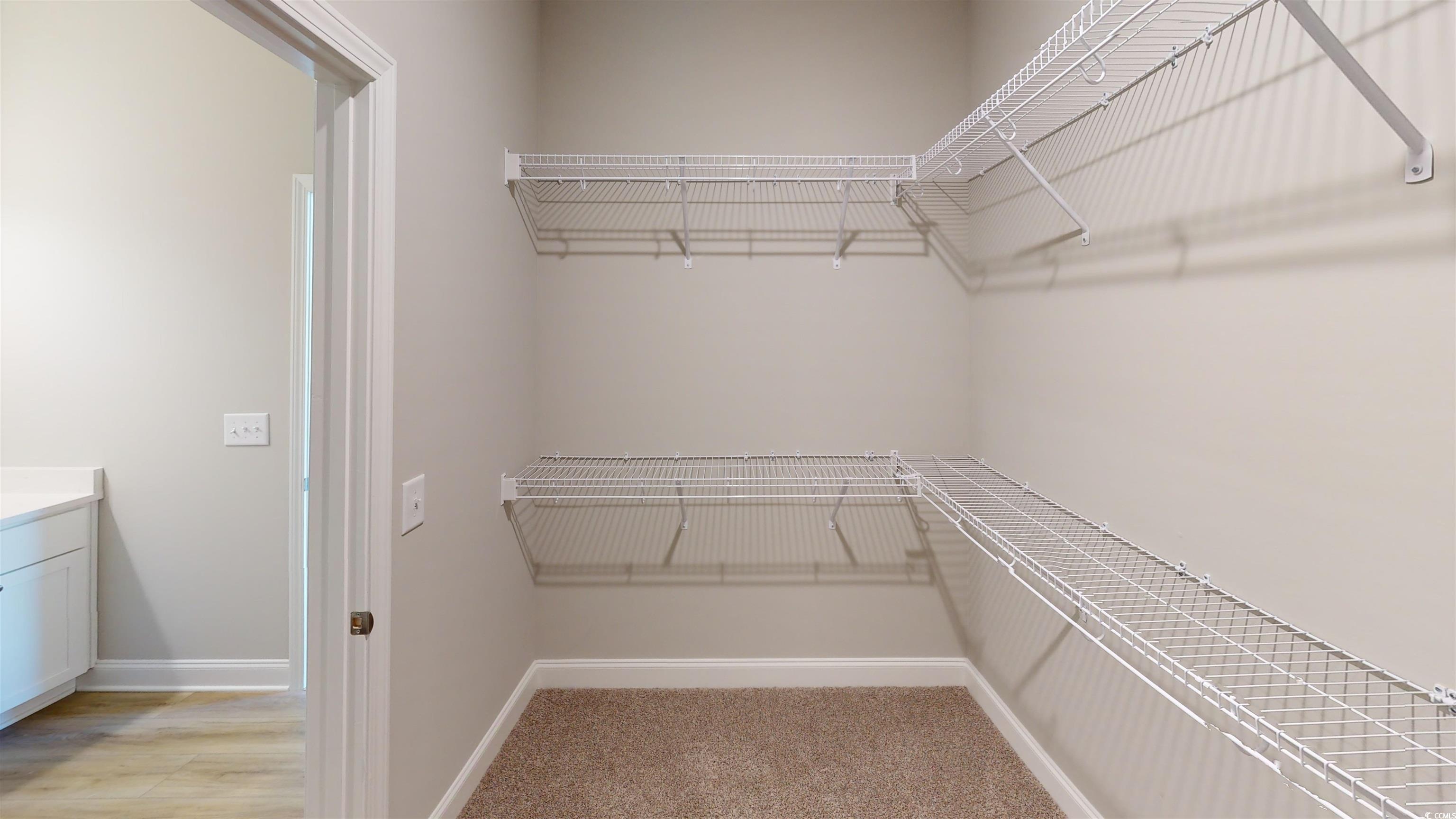 1044 Moen Loop, Unit LOT 12 Conway, SC 29526 - Photo 13 of 16 Spacious closet featuring light carpet