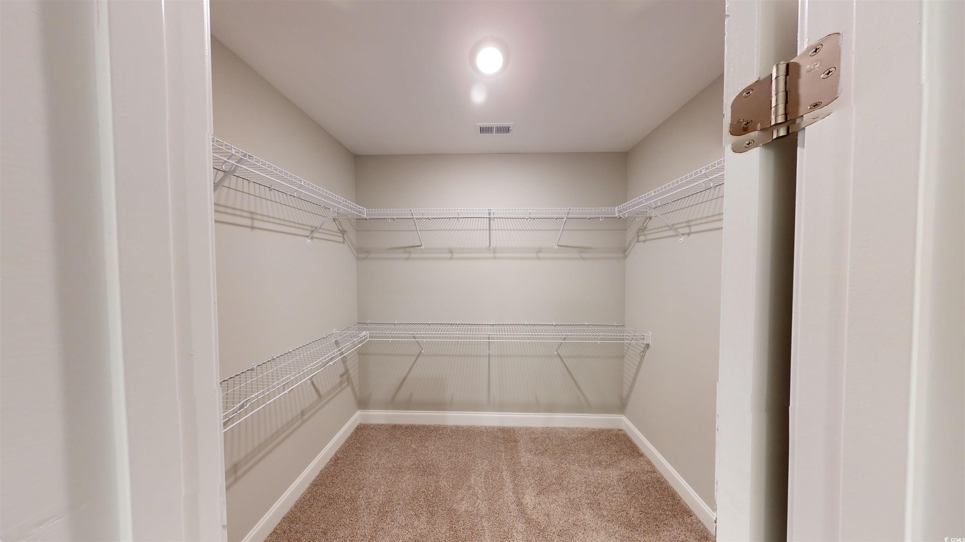 1044 Moen Loop, Unit LOT 12 Conway, SC 29526 - Photo 14 of 16 Spacious closet featuring light carpet