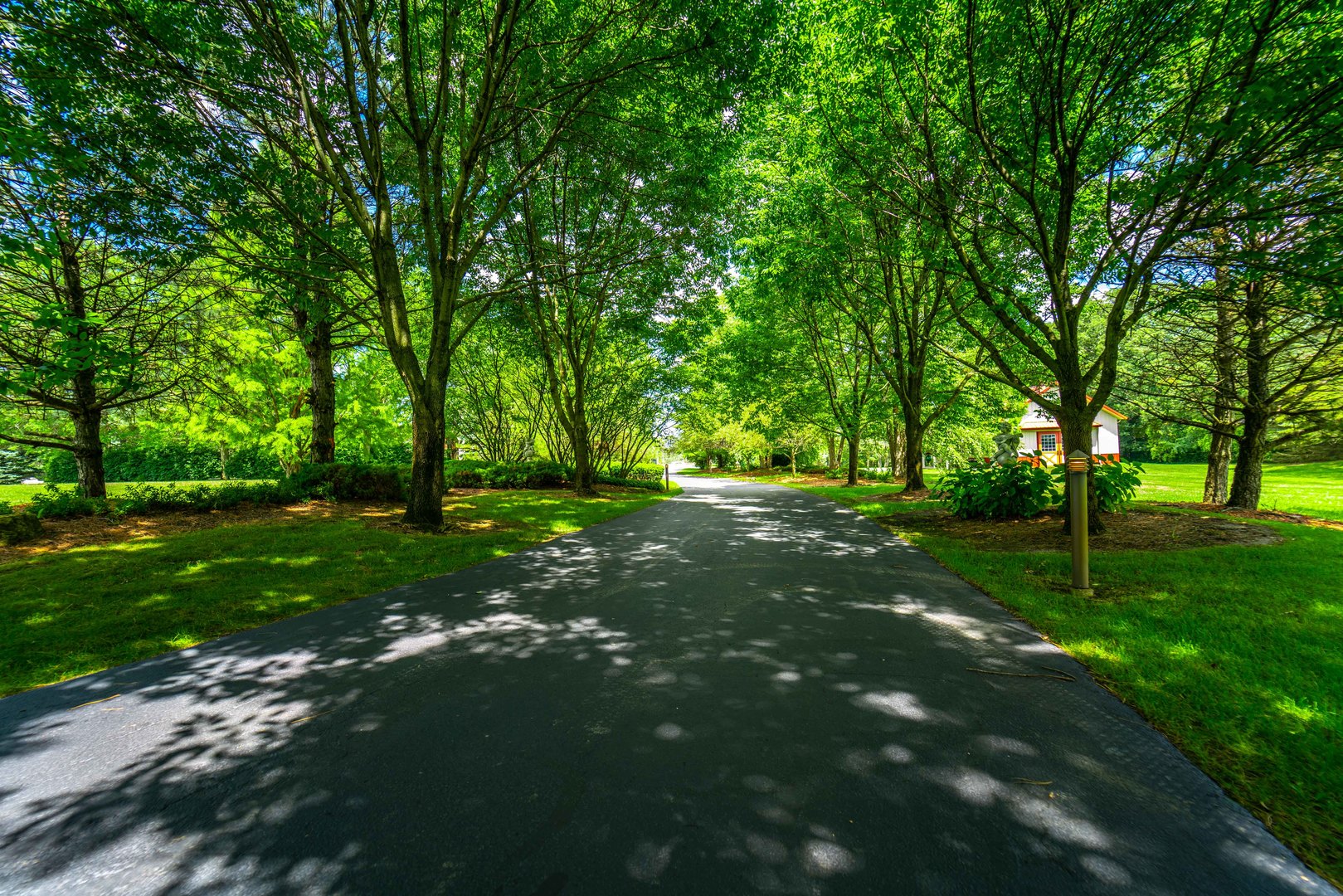 228 East Goodenow Road Beecher, IL 60401 - Photo 3 of 79 a view of green field with trees in the background