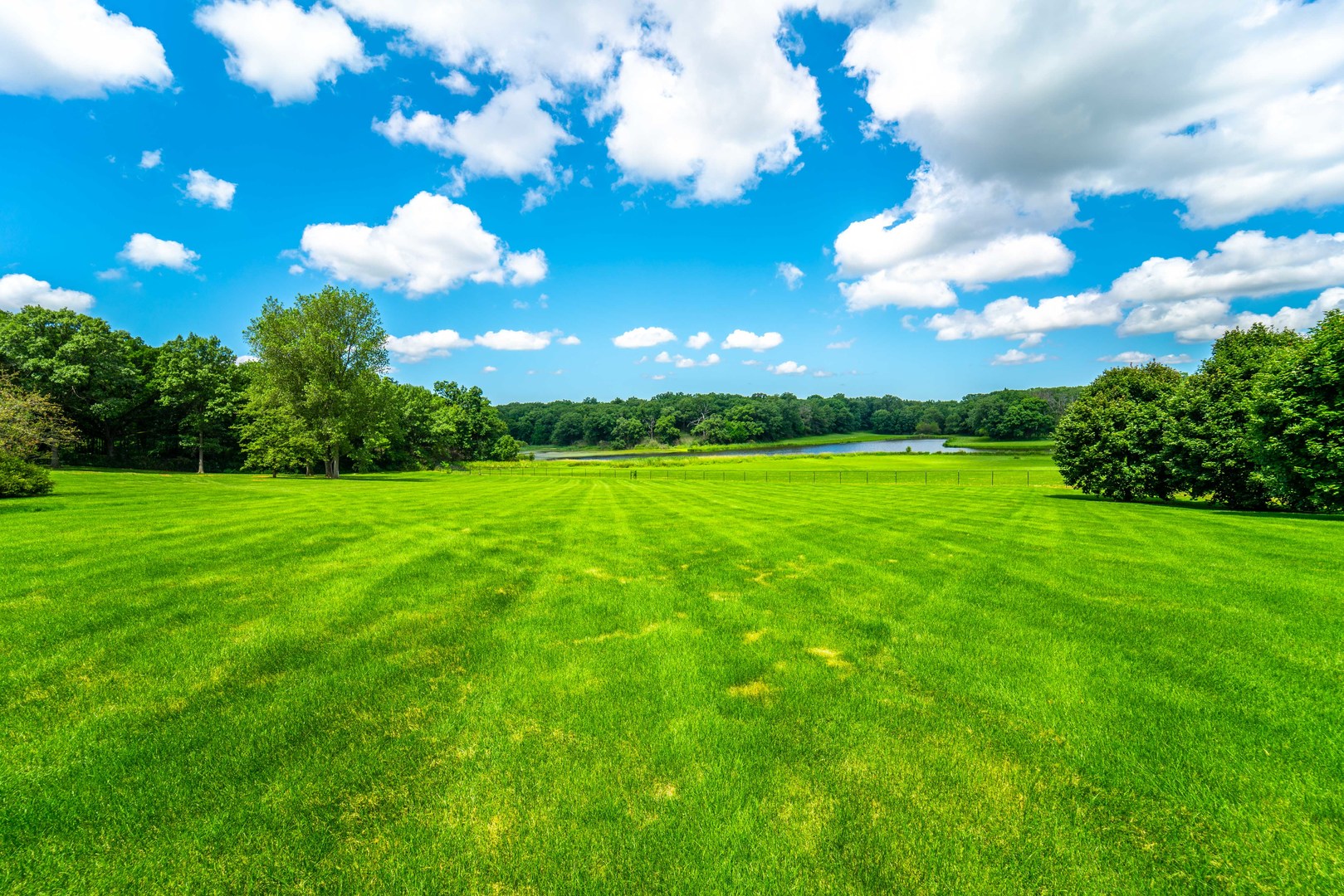 228 East Goodenow Road Beecher, IL 60401 - Photo 75 of 79 a view of a big yard with large trees