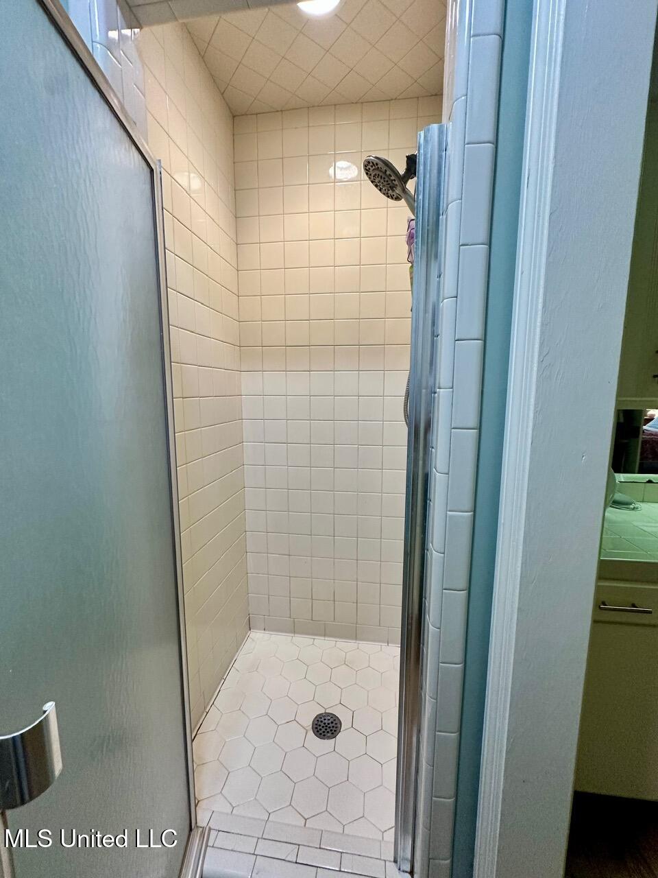 14 Eastgate Court Brandon, MS 39042 - Photo 26 of 46 IMG_5537