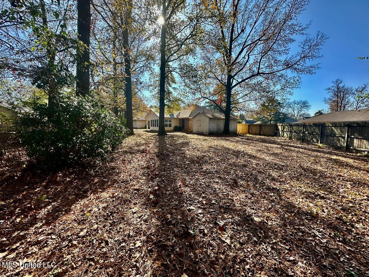 14 Eastgate Court Brandon, MS 39042 - Photo 38 of 46 IMG_5539