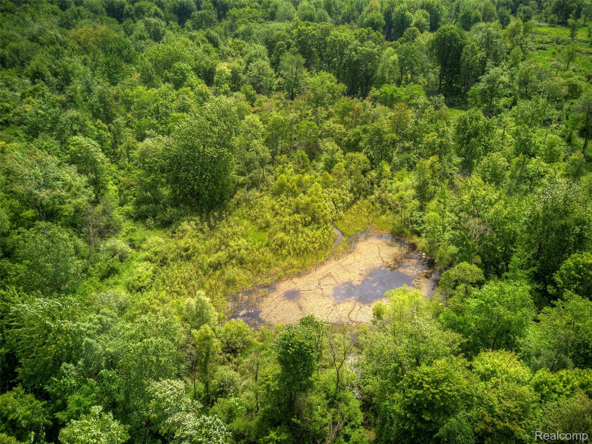 5591 Pingree Road Howell, MI 48843 - Photo 59 of 63 DJI_0856.jpg
