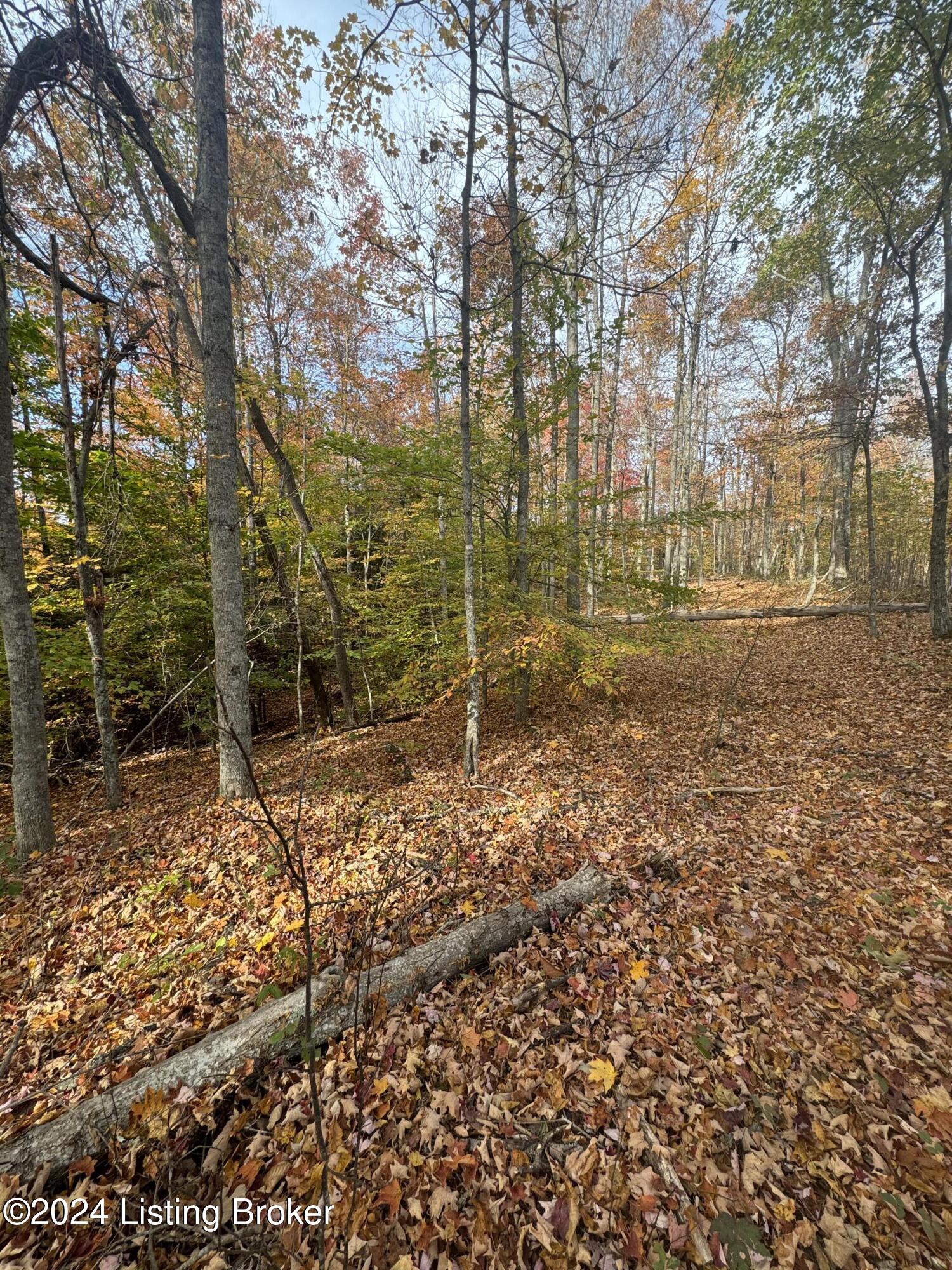 0 Ditney Ridge Road Morehead, KY 40351 - Photo 37 of 39 IMG_4325