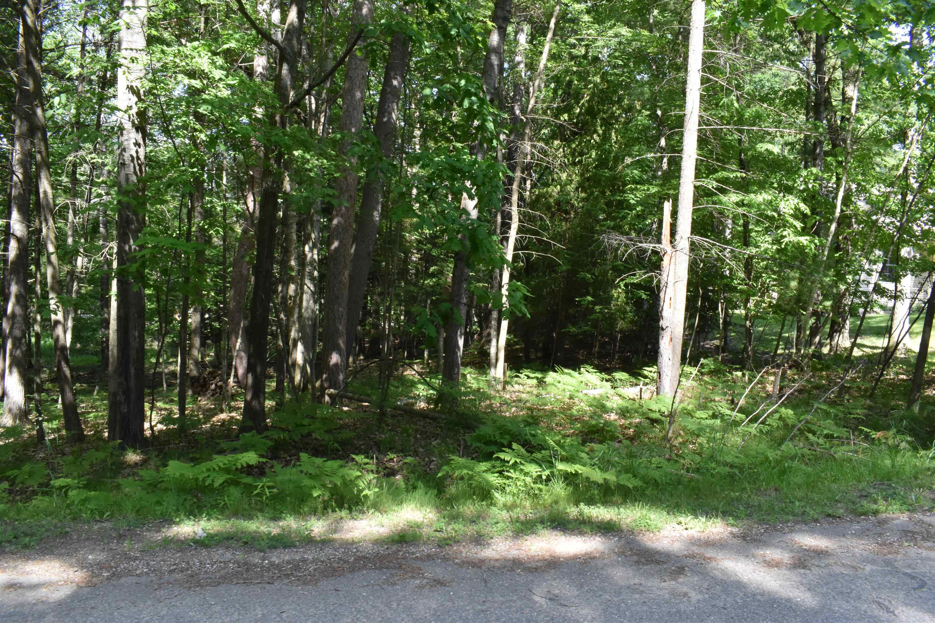 Lot 196 Princess Way Gladwin, MI 48624 - Photo 6 of 12