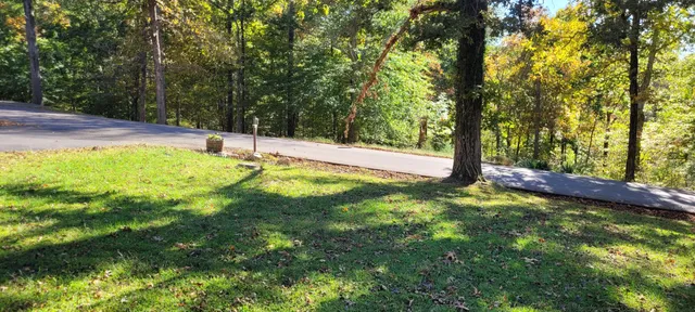 a view of a yard with trees